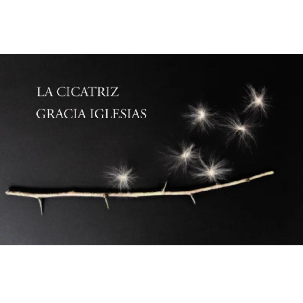 La cicatriz